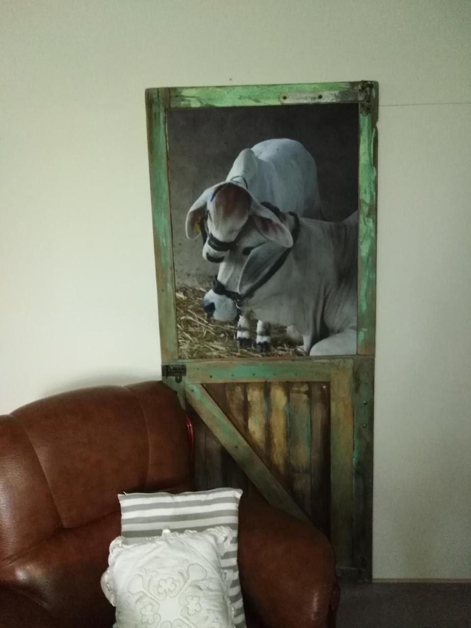 Die Windpomp Guesthouse Gobabis Zewnętrze zdjęcie